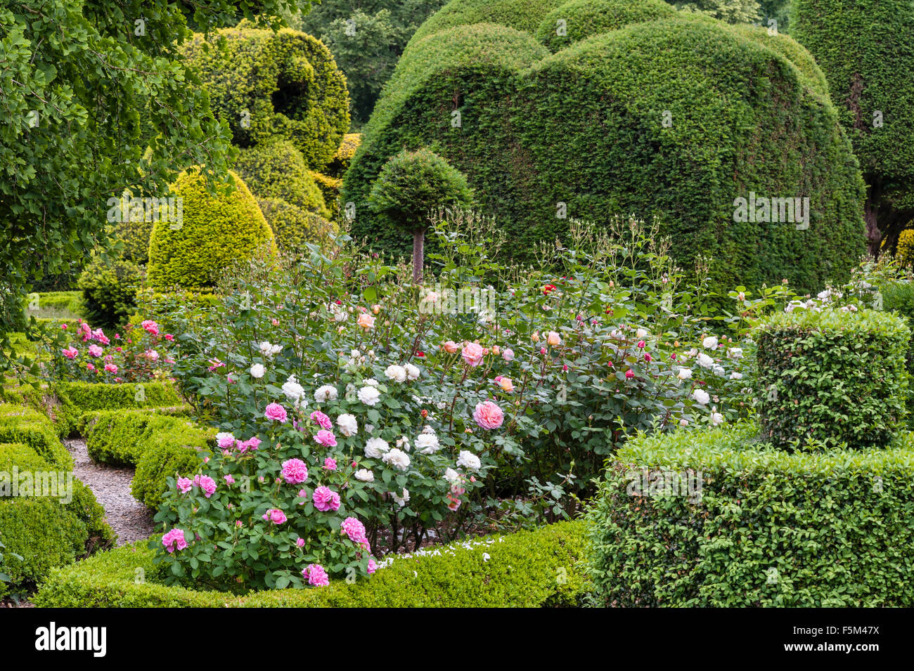 Levens Hall, Cumbria, Regno Unito. Un tardo 16c Manor House famosa per il suo eccentrico topiaria da giardino, di proprietà della famiglia Bagot Foto Stock