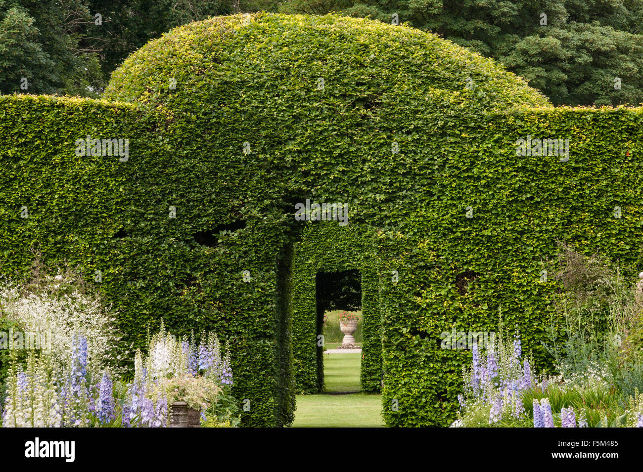 Levens Hall, Cumbria, Regno Unito. Un tardo 16c Manor House famosa per il suo eccentrico topiaria da giardino. Il vecchio di 300 anni siepe di faggio Foto Stock