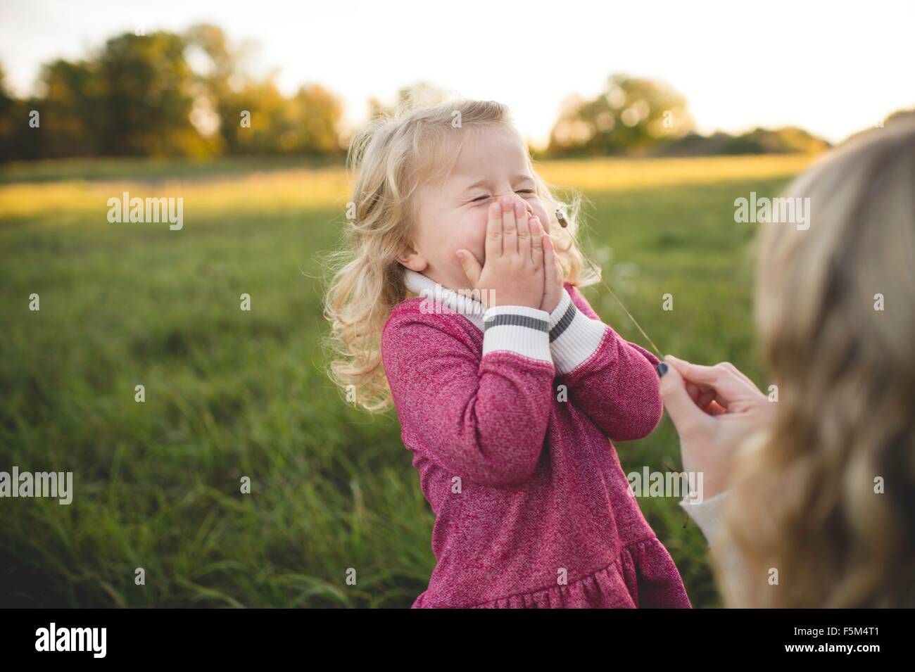Metà donna adulta solletico figlie faccia con gambo di erba in campo Foto Stock