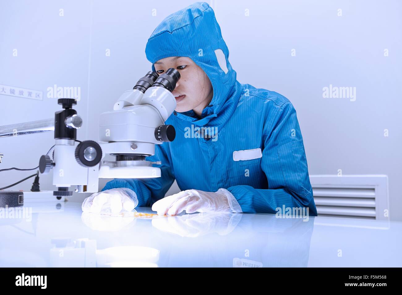 Lavoratore di sesso femminile che usando microscopio per esaminare il circuito flessibile in elettronica flessibile fabbrica camera pulita Foto Stock