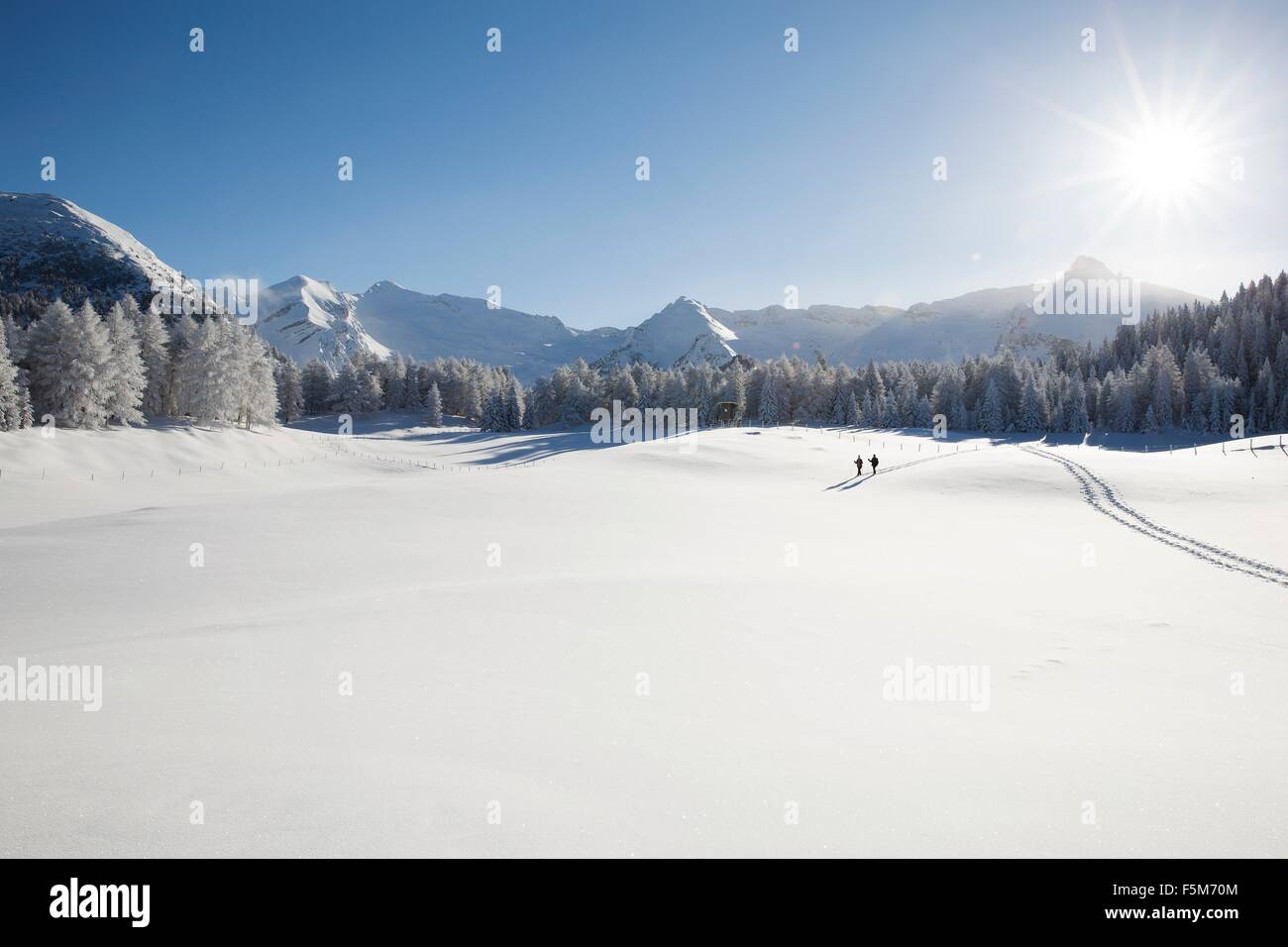 La gamma della montagna, alberi e coppia senior lontano sul paesaggio innevato, Sattelbergalm, Tirolo, Austria Foto Stock