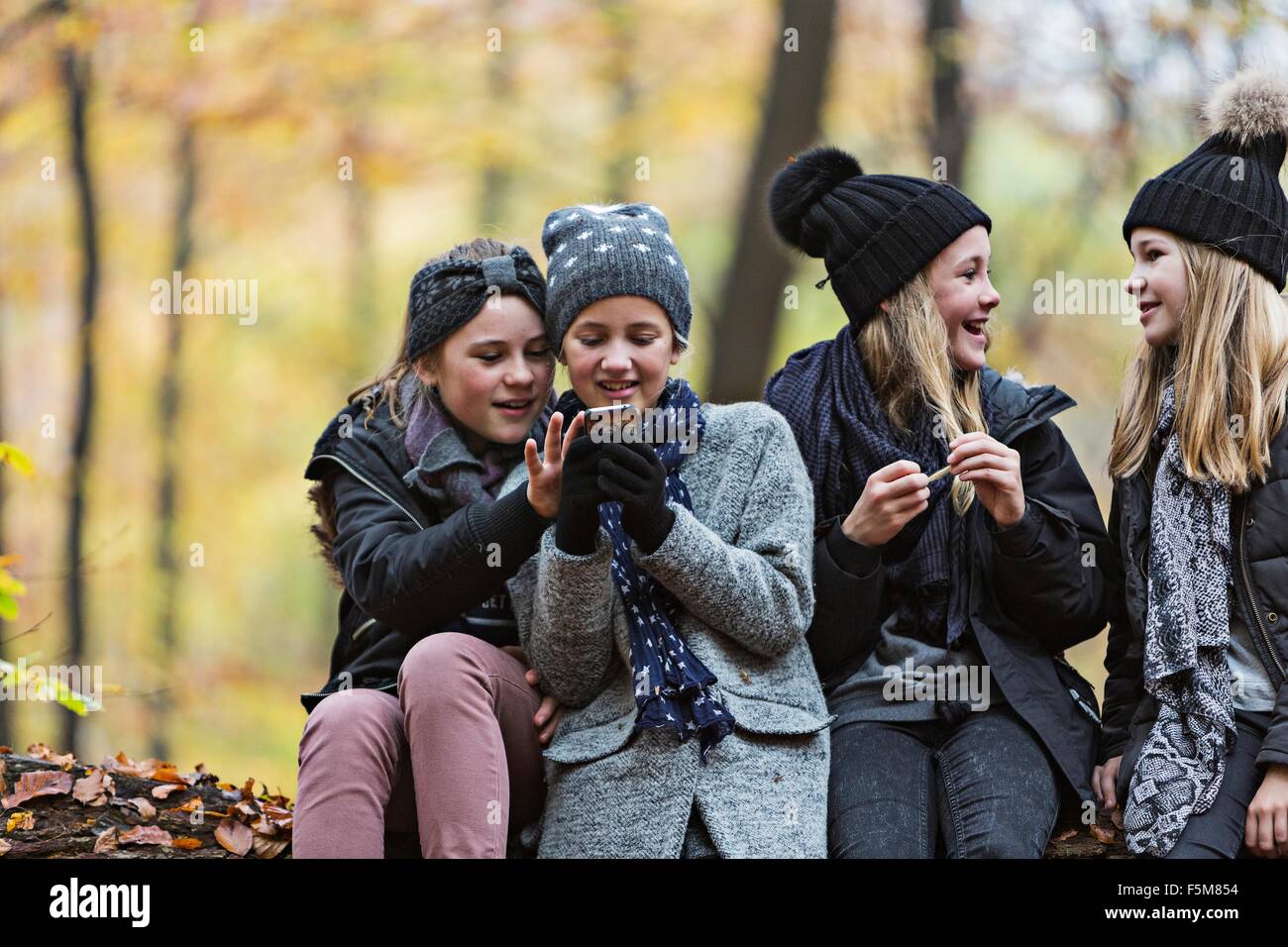 Ragazze utilizza lo smartphone e chattare nella foresta di autunno Foto Stock