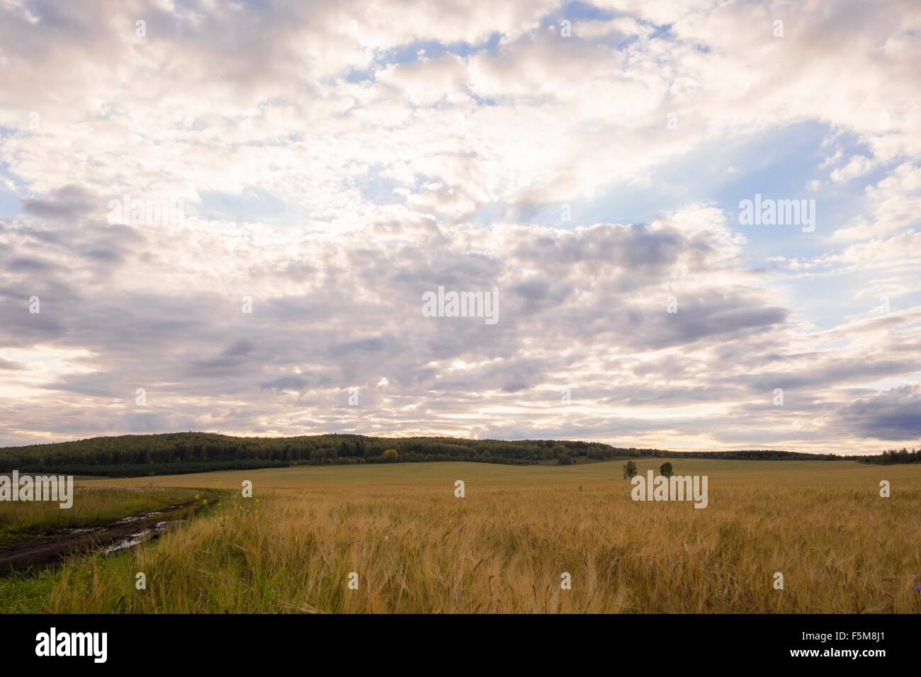 Rurale scena, Ural, Russia Foto Stock