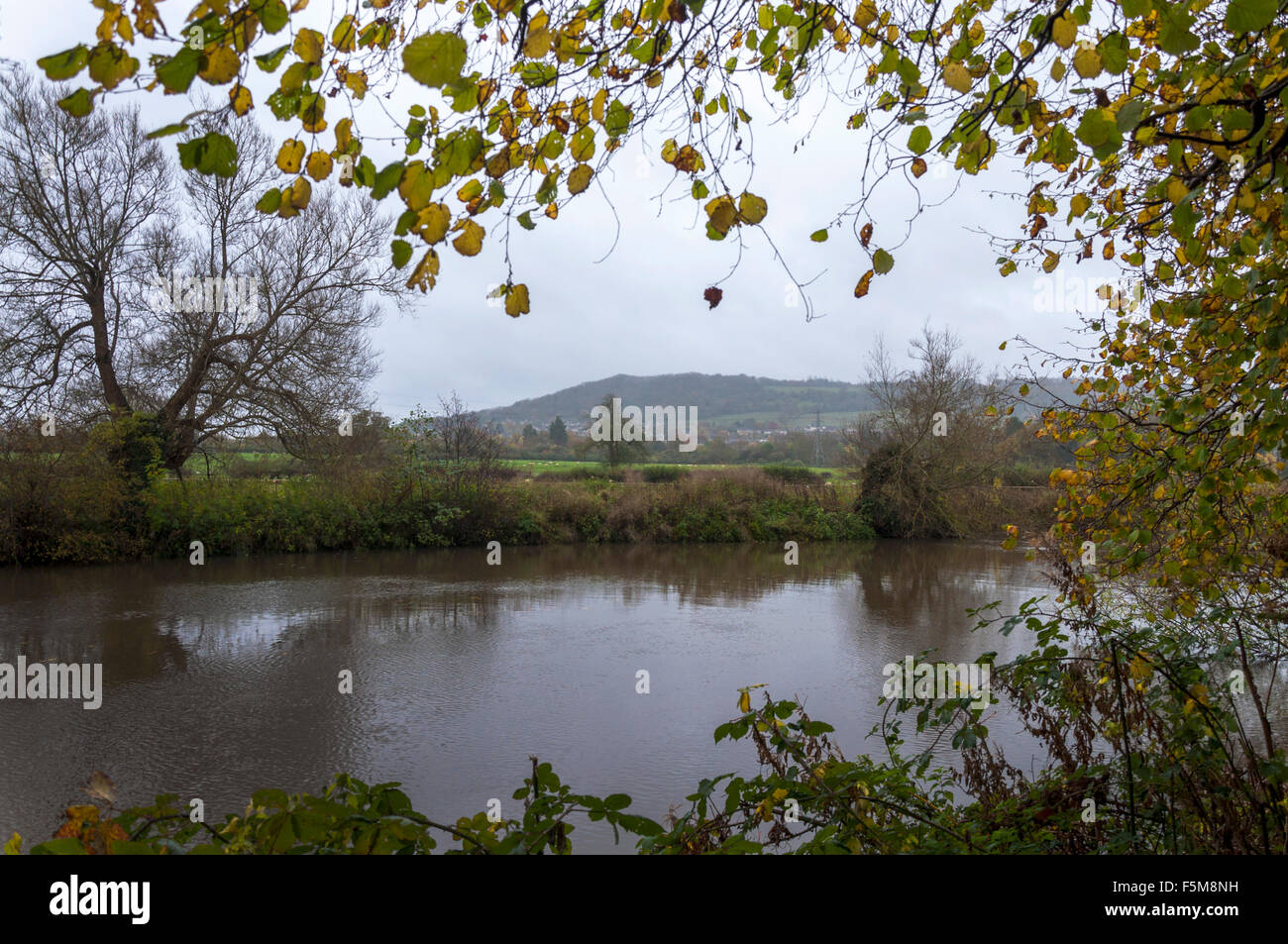 Bathampton, bagno, Somerset, Regno Unito. Il 6 novembre 2015. Vista sul Fiume Avon verso il sito proposto di un Parcheggio di Interscambio Autosilo su antiche prati di acqua (in background) in Bathampton vicino al bagno. Il bagno e il nord-est Somerset (pattini) County council deciderà la prossima settimana sulle proposte per il regime tra mille opposizioni locali. Credito: Richard Wayman/Alamy Live News Foto Stock