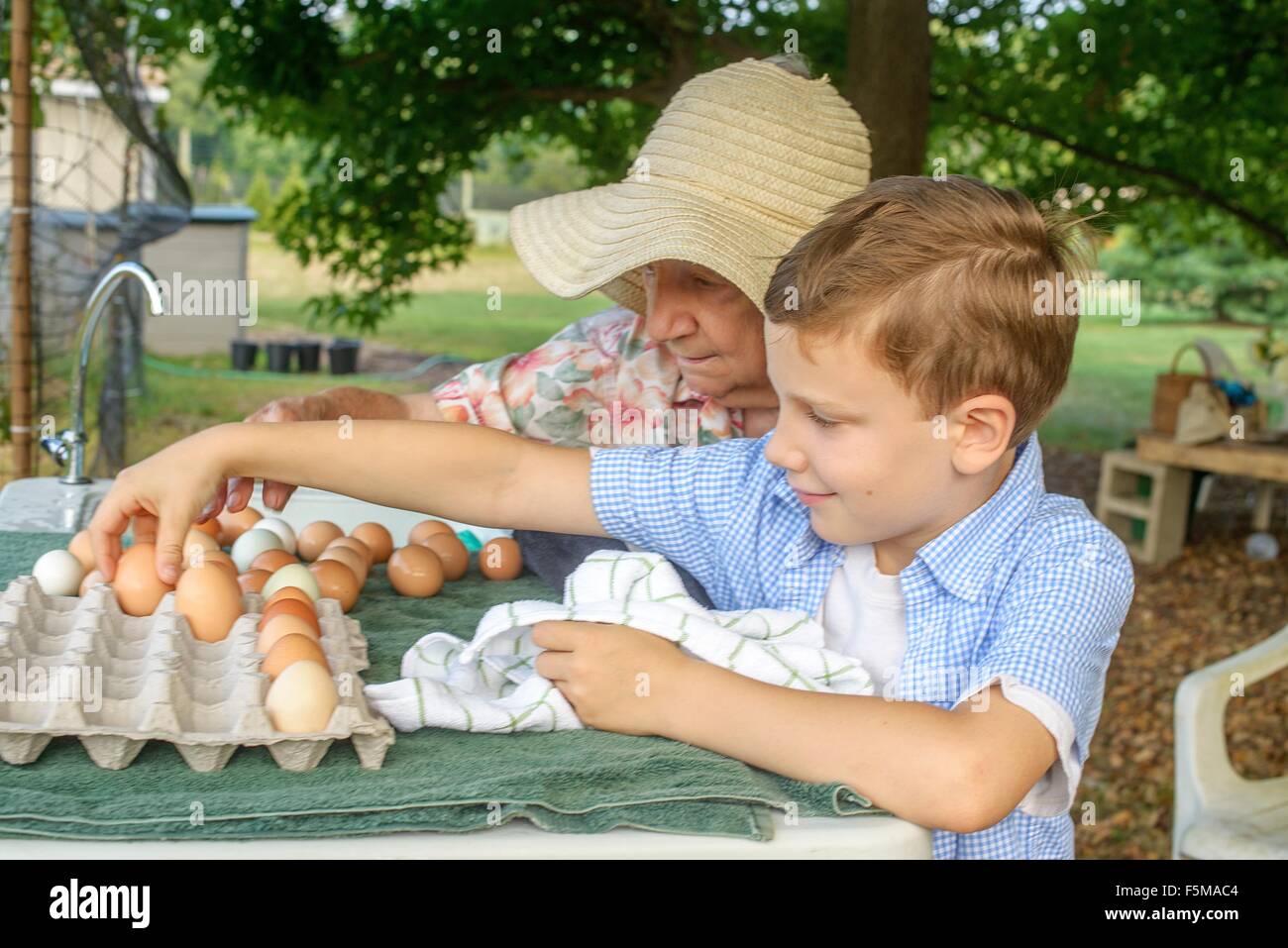 Donna Senior e nipote di disporre le uova nel vassoio in agriturismo Foto Stock