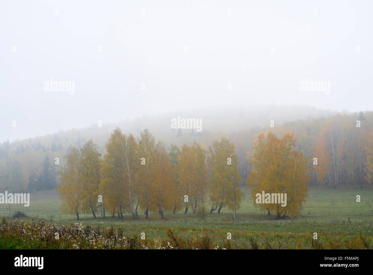 Rurale scena, Ural, Russia Foto Stock