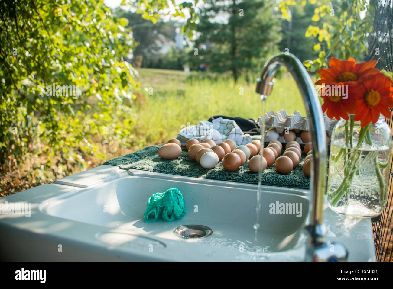 Fattoria Outdoor lavandino con acqua corrente e uova fresche su sgocciolatoio Foto Stock