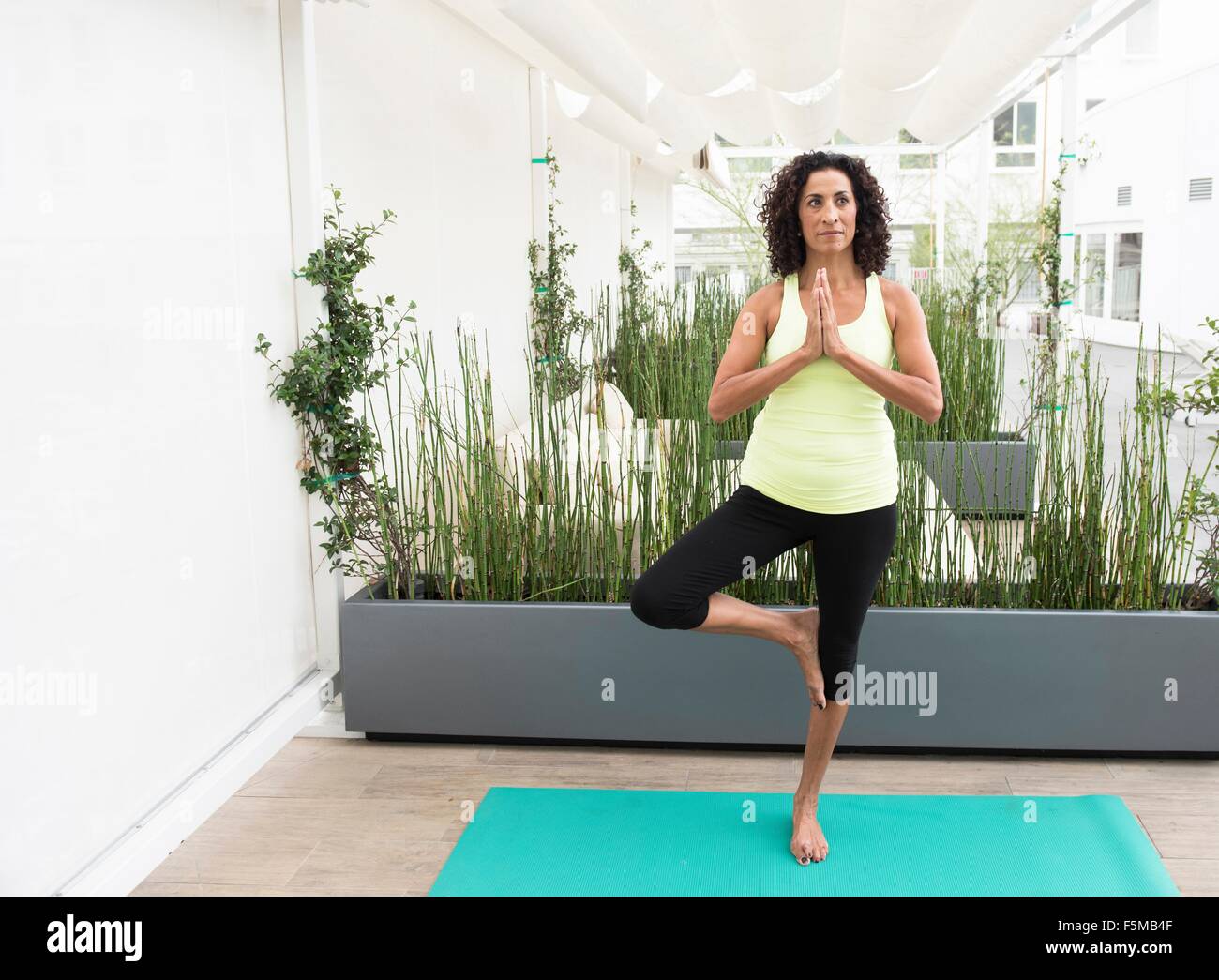 Donna matura facendo yoga posa ad albero Foto Stock