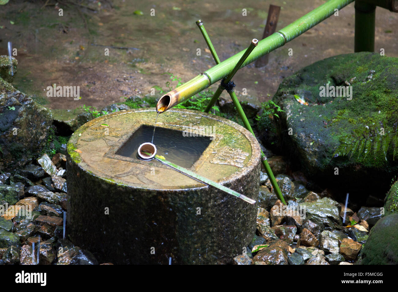 Non Chisoku Tsukubai, tsukubai - una bassa lavabo fornito in giapponese i templi buddisti per il lavaggio delle mani e la bocca, il Tempio di Ryoanji, Kyoto, Giappone Foto Stock