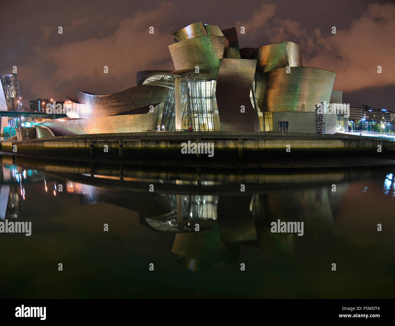Museo Guggenheim di notte, architetto Frank Gehry, Bilbao, Paesi Baschi Foto Stock