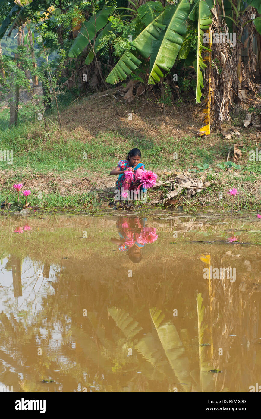 Dacca in Bangladesh. 6 Novembre, 2015. Un villaggio ragazza rosso raccolta giglio di acqua dal lago di mangimi per il bestiame a Novembre 06, 2015. Quasi i tre quarti della popolazione vive in zone rurali. Le famiglie nelle zone rurali del Bangladesh si basano principalmente sull'agricoltura,pollame e la pesca per il loro reddito quotidiano. Al Summit sullo Sviluppo sostenibile il 25 settembre 2015, gli Stati membri delle Nazioni Unite adotteranno le 2030 Agenda per lo sviluppo sostenibile, che include un set di 17 Obiettivi di Sviluppo Sostenibile (SDGs) per porre fine alla povertà, lotta di disuguaglianza e di ingiustizia e di affrontare i cambiamenti climatici entro il 2030. © zakir hossai Foto Stock