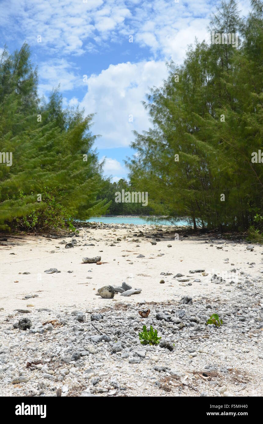 Scenario di spiaggia, Rarotonga Isole Cook Foto Stock