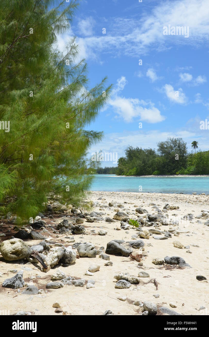 Scenario di spiaggia, Rarotonga Isole Cook Foto Stock