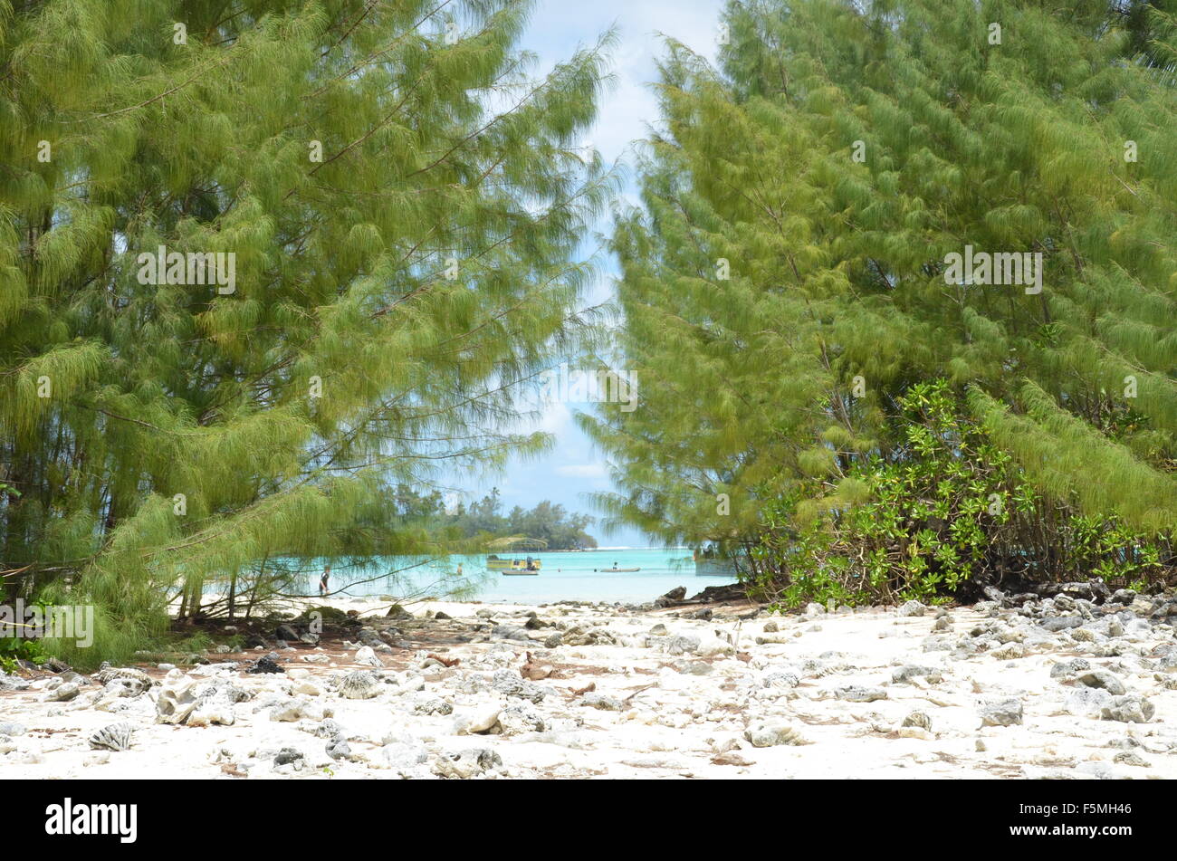 Scenario di spiaggia, Rarotonga Isole Cook Foto Stock