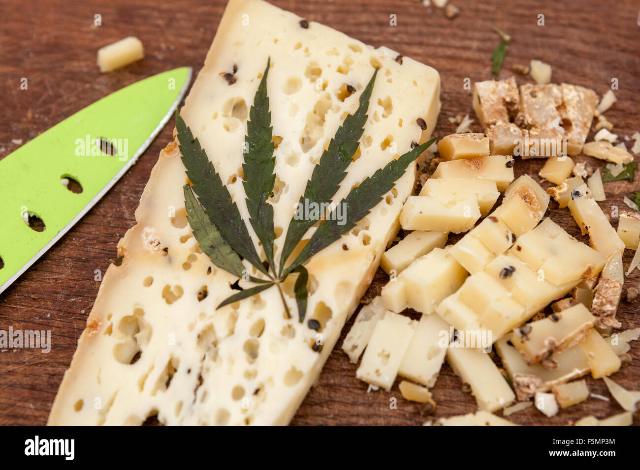 Formaggio stagionato a bordo di cibo di cannabis, erbe in foglia prodotto commestibile, cartone di formaggio Foto Stock