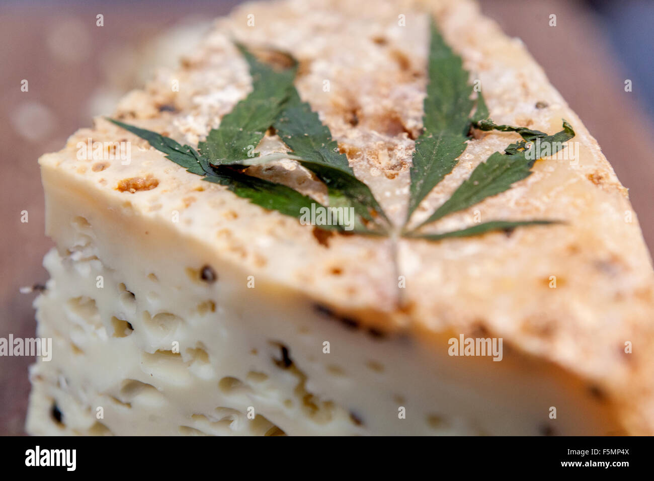 Prodotto dell'azienda agricola di famiglia. Degustazione e offerta di formaggio di pecora decorato con una foglia di cannabis nella Repubblica Ceca di Praga Foto Stock
