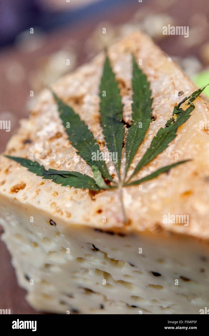 Prodotto dell'azienda agricola di famiglia. Degustazione e offerta di formaggio di pecora decorato con una foglia di cannabis nella Repubblica Ceca di Praga Foto Stock