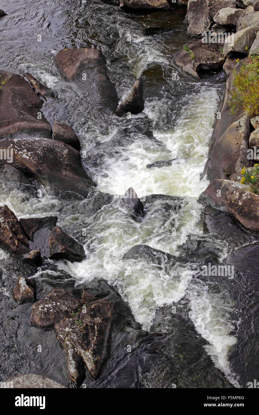 Caduta delle Foglie Bear Brook Wilsons Mills Maine New England USA Foto Stock