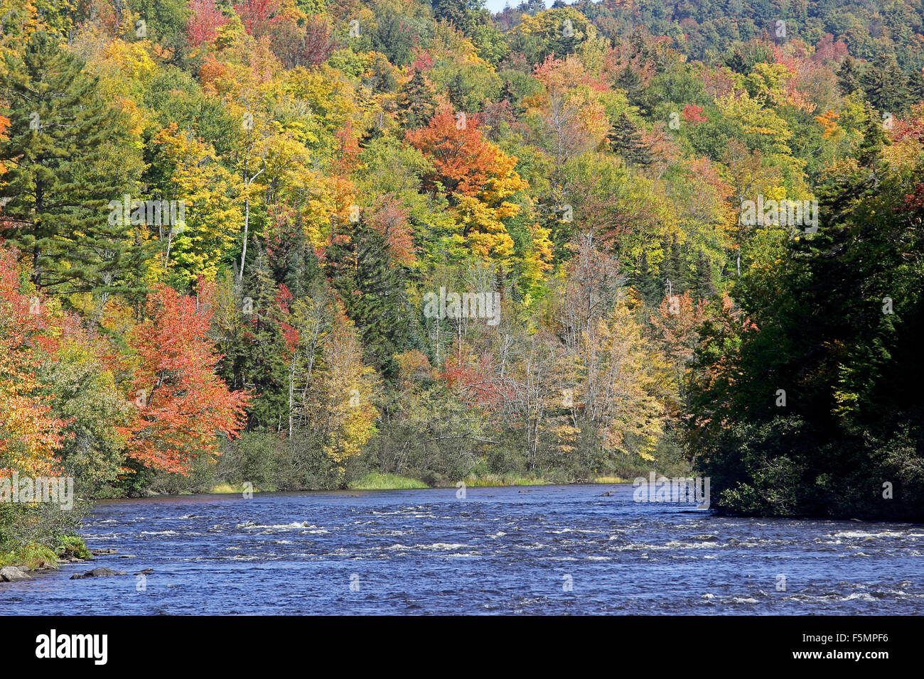 Caduta di fogliame fiume Androscoggin Coos County New Hampshire New England USA Foto Stock