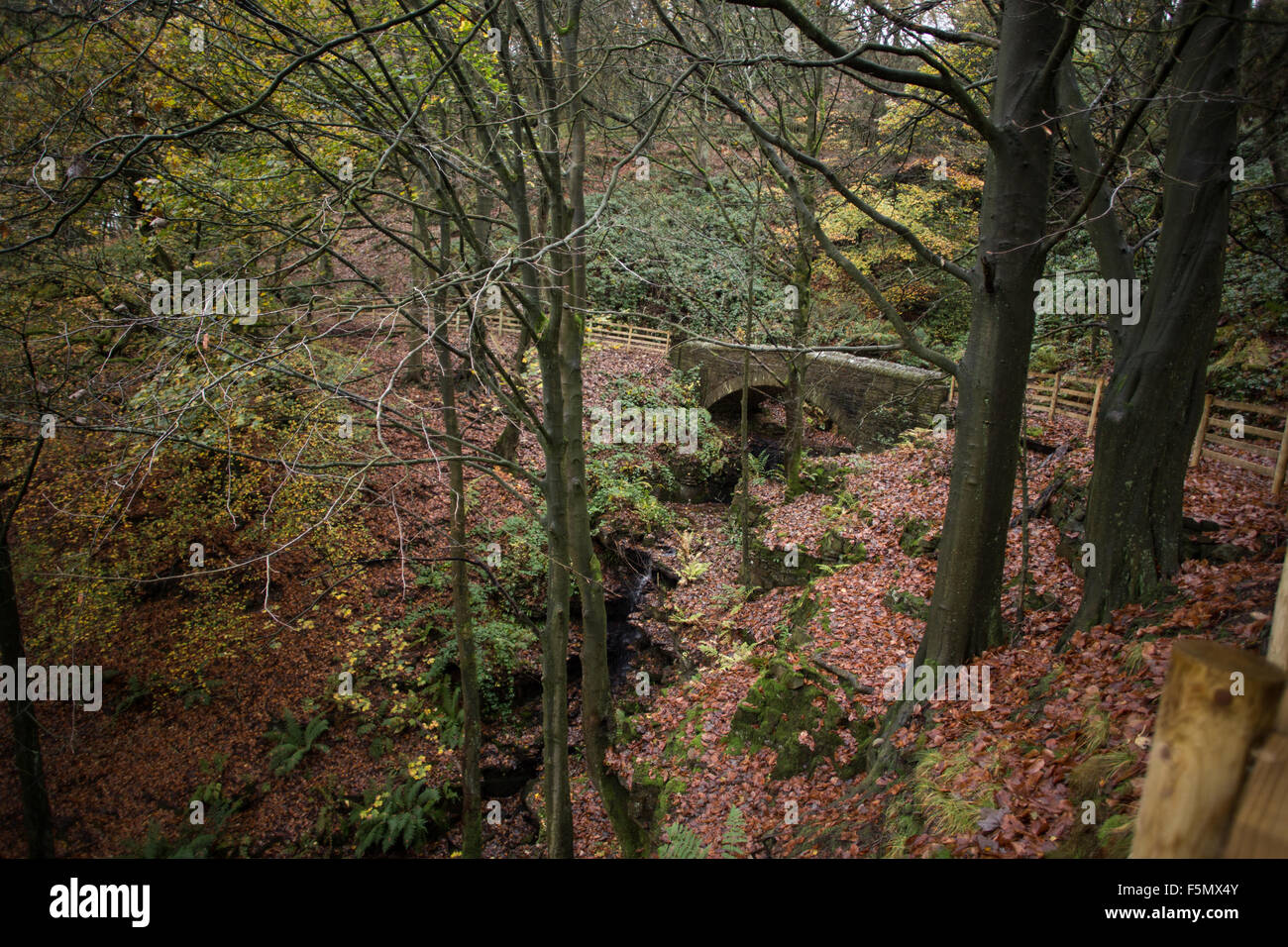 Il ponte di pietra, Rivington giardini terrazzati vicino a Chorley, Horwich, Blackburn, Darwen, Belmont in autunno Foto Stock