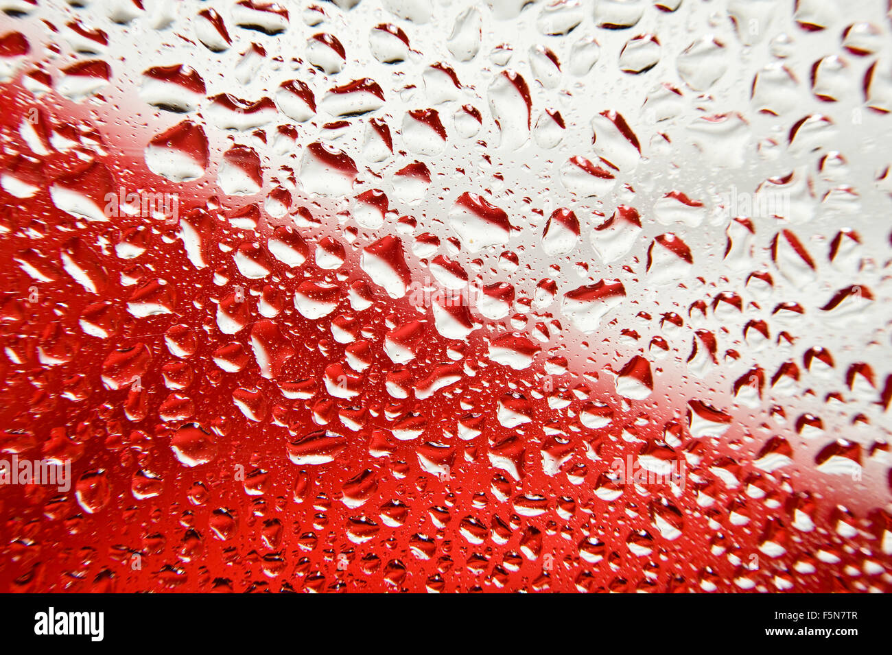 Abstract, il bianco e il rosso il colore dello sfondo con gocce d'acqua. Foto Stock