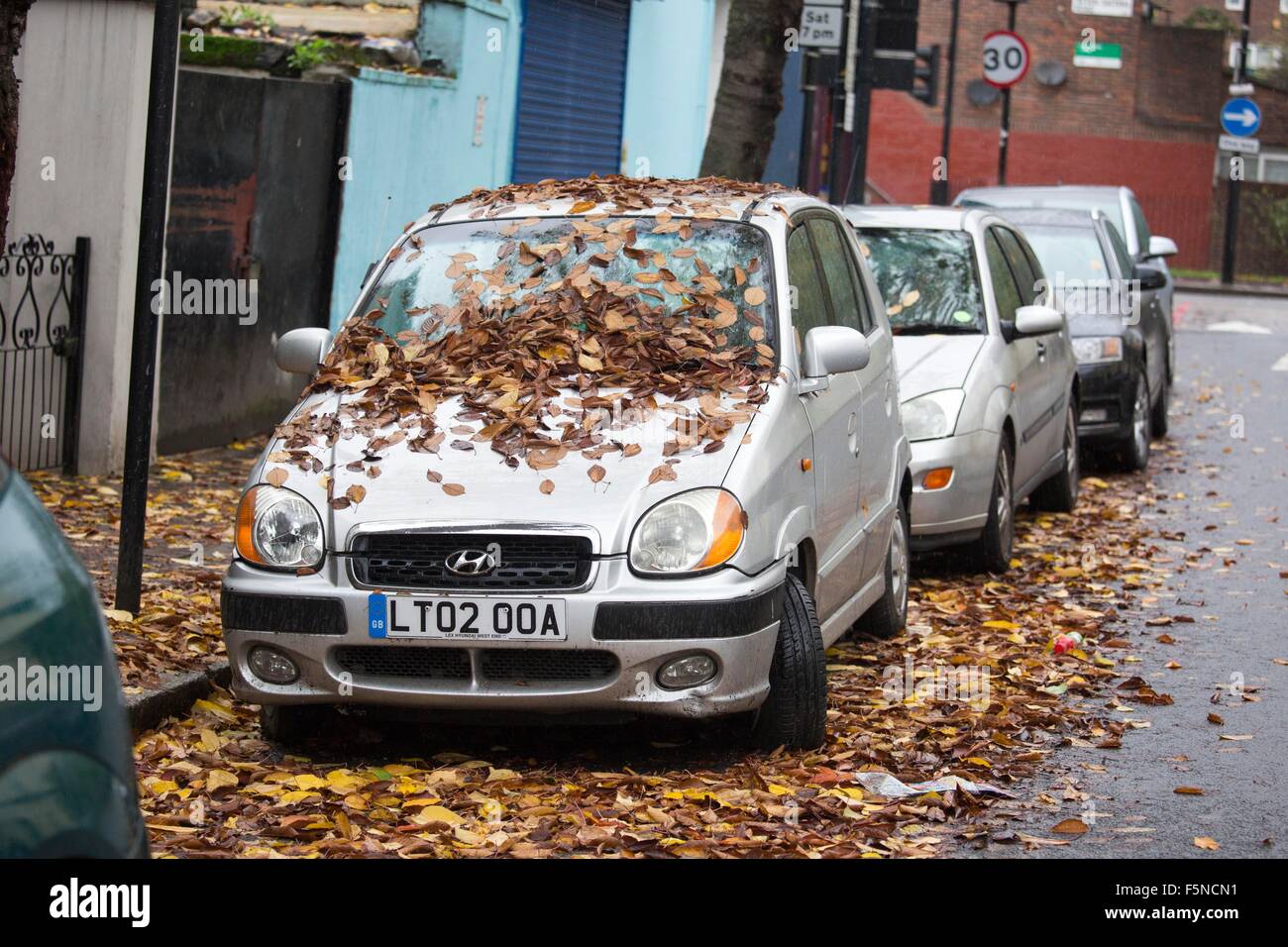 Foglie di autunno caduti cofano auto parcheggiata coperta Foto Stock