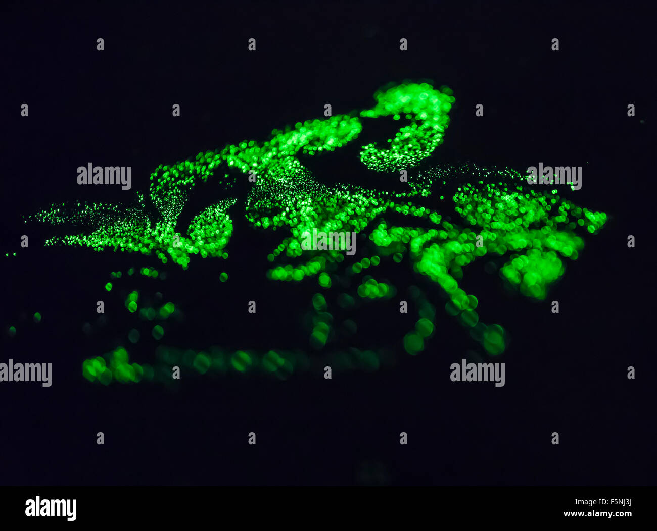 Nube di colore verde brillante delle particelle di polvere galleggianti in aria e illuminata da un fascio laser. Psichedelia spacey atmosfera. Foto Stock