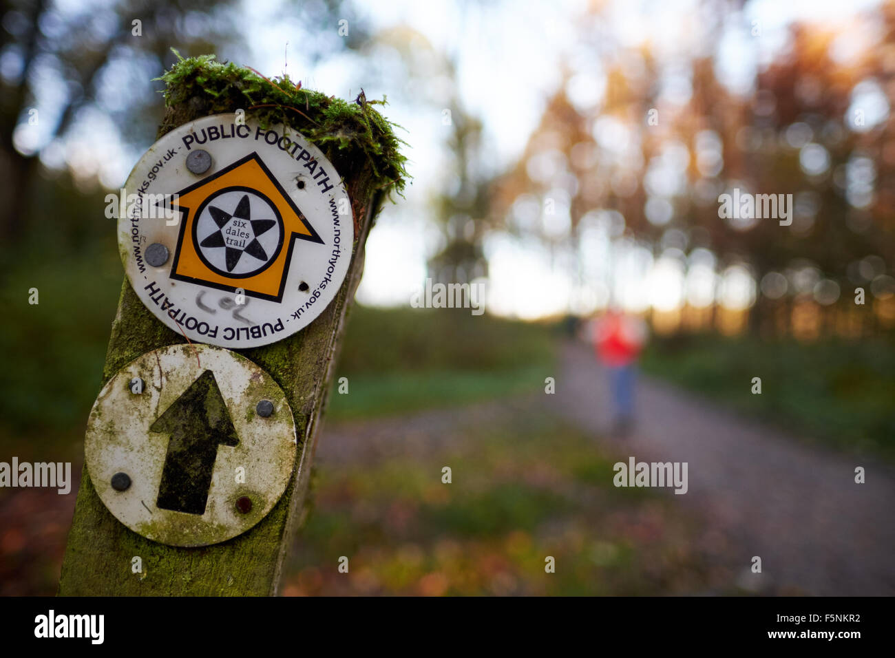 Sentiero segno posto per sei Dales modo nello Yorkshire attraverso boschi Swinsty Foto Stock