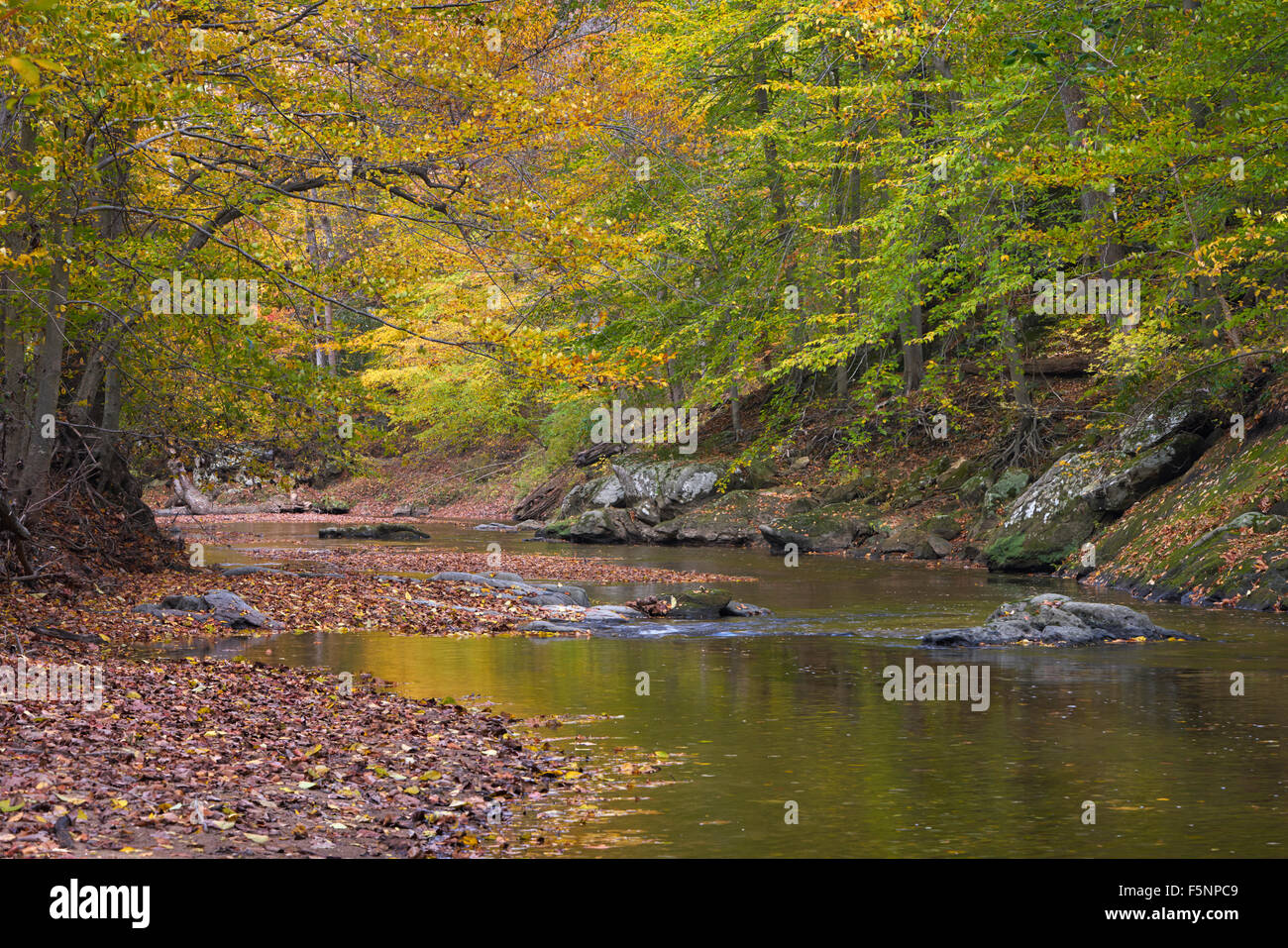 Autunno sul Medio Patuxent River nella Contea di Howard, Maryland Foto Stock