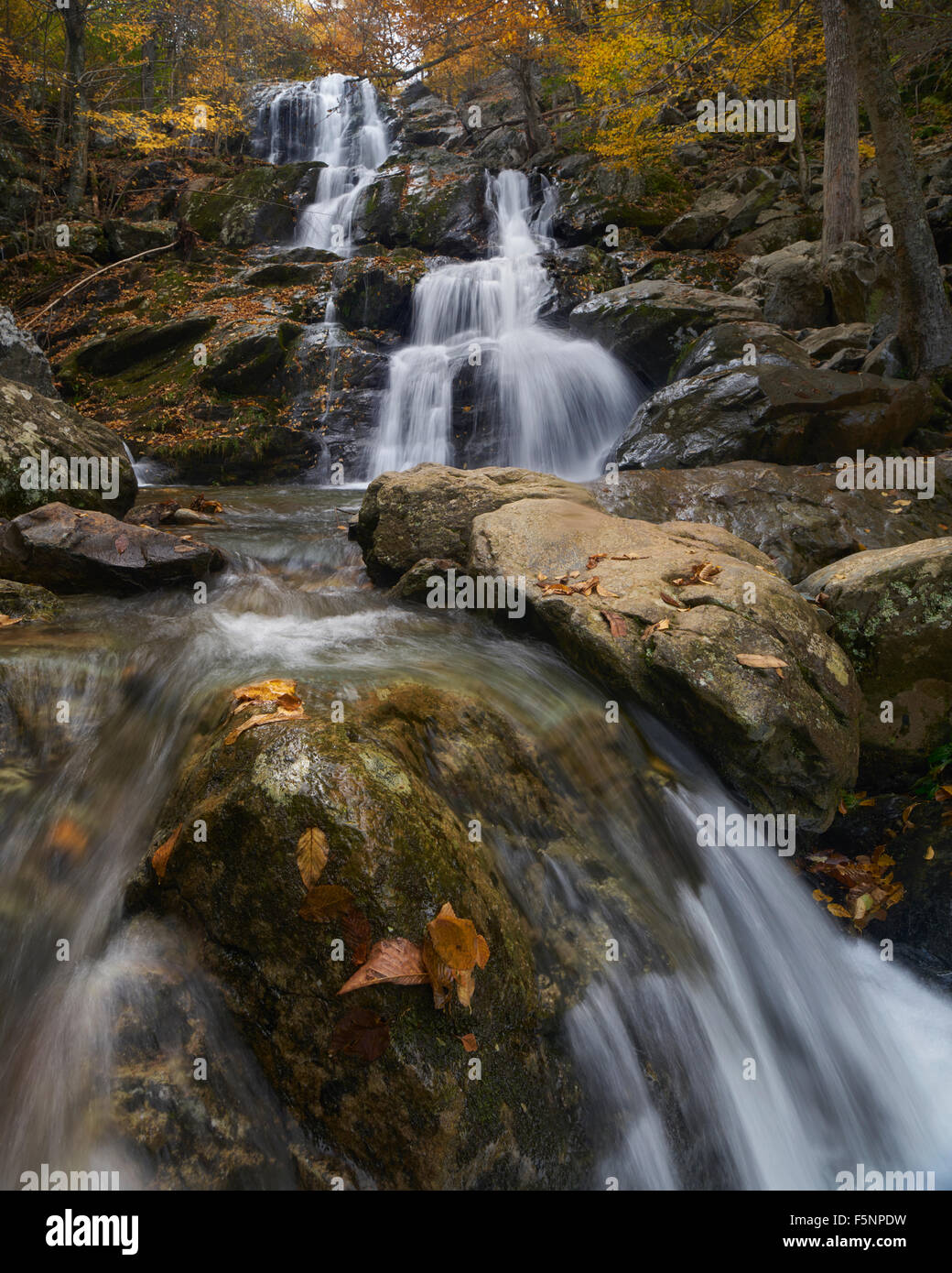 Autunno a cascata di Cava Scura rientra nel Parco Nazionale di Shenandoah Foto Stock
