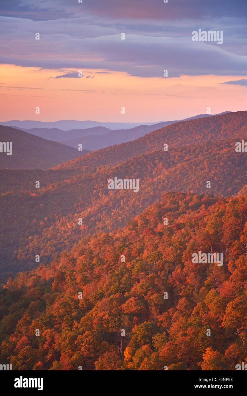 Grandioso e colori d'autunno vista delle montagne di Shenandoah da pinnacoli che si affacciano sulla Skyline Drive Foto Stock