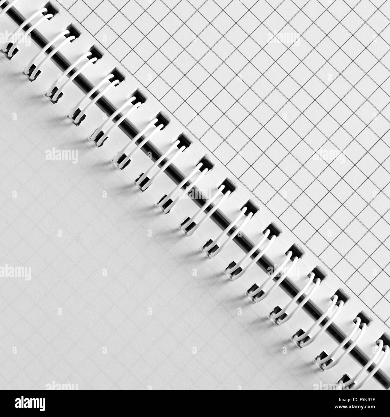 Aprire il libro di scrittura Foto Stock