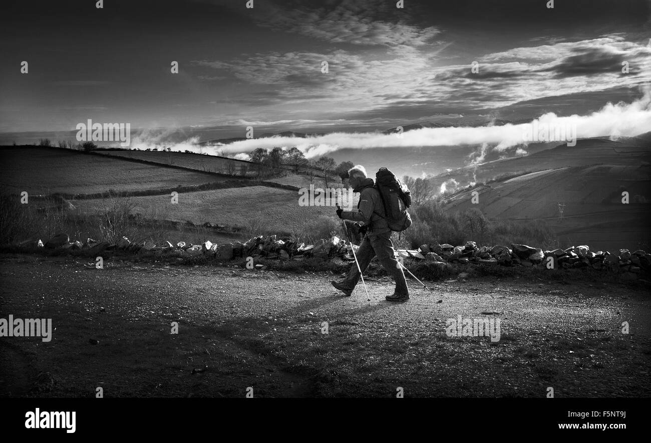 Un pellegrino a piedi il camino di Santiago de Compostela. ** Un aspetto granuloso immagine ripresa nella luce** Foto Stock