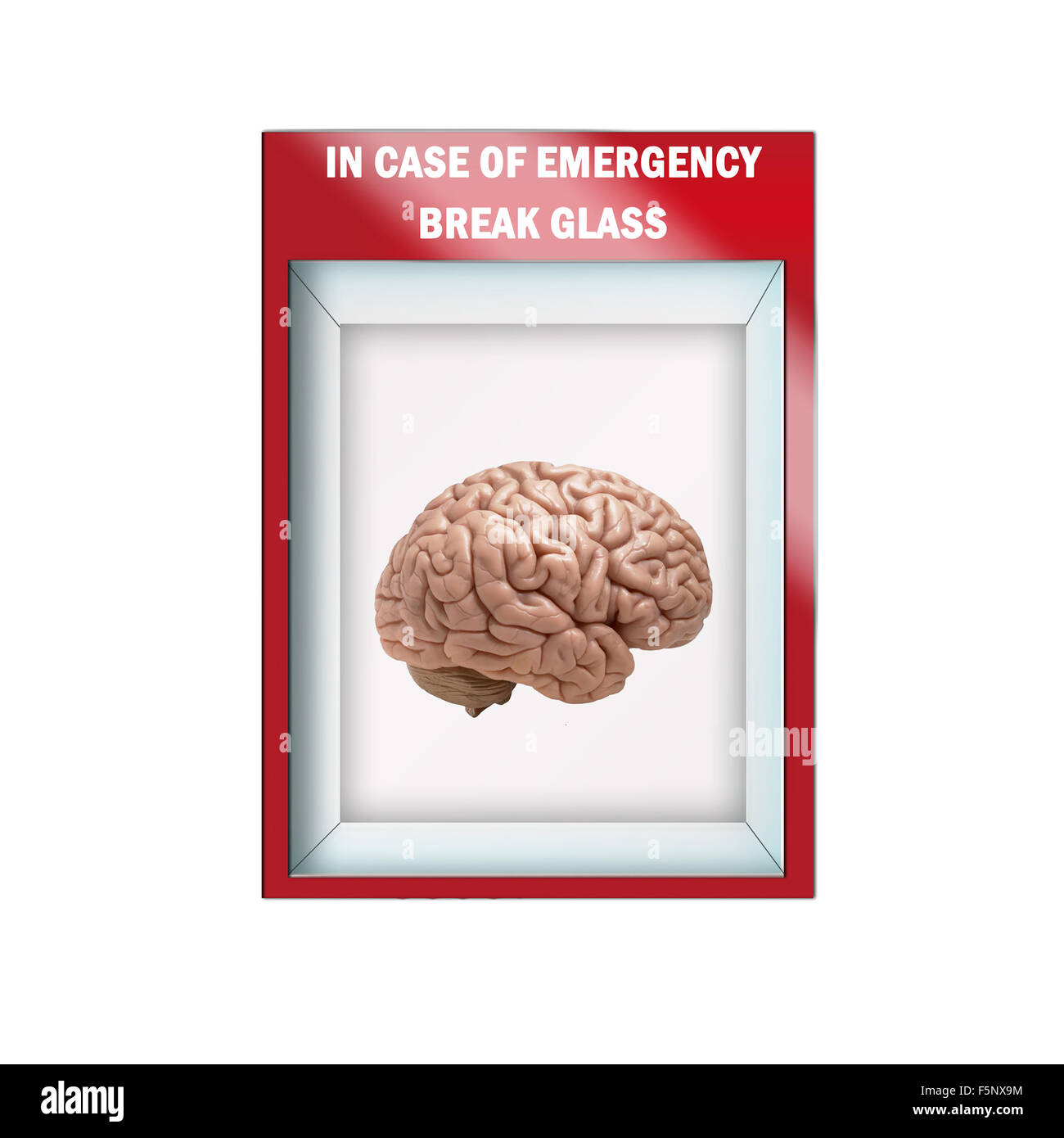 Mock up illustrazione - freno di emergenza caso di vetro contenente il cervello umano Foto Stock