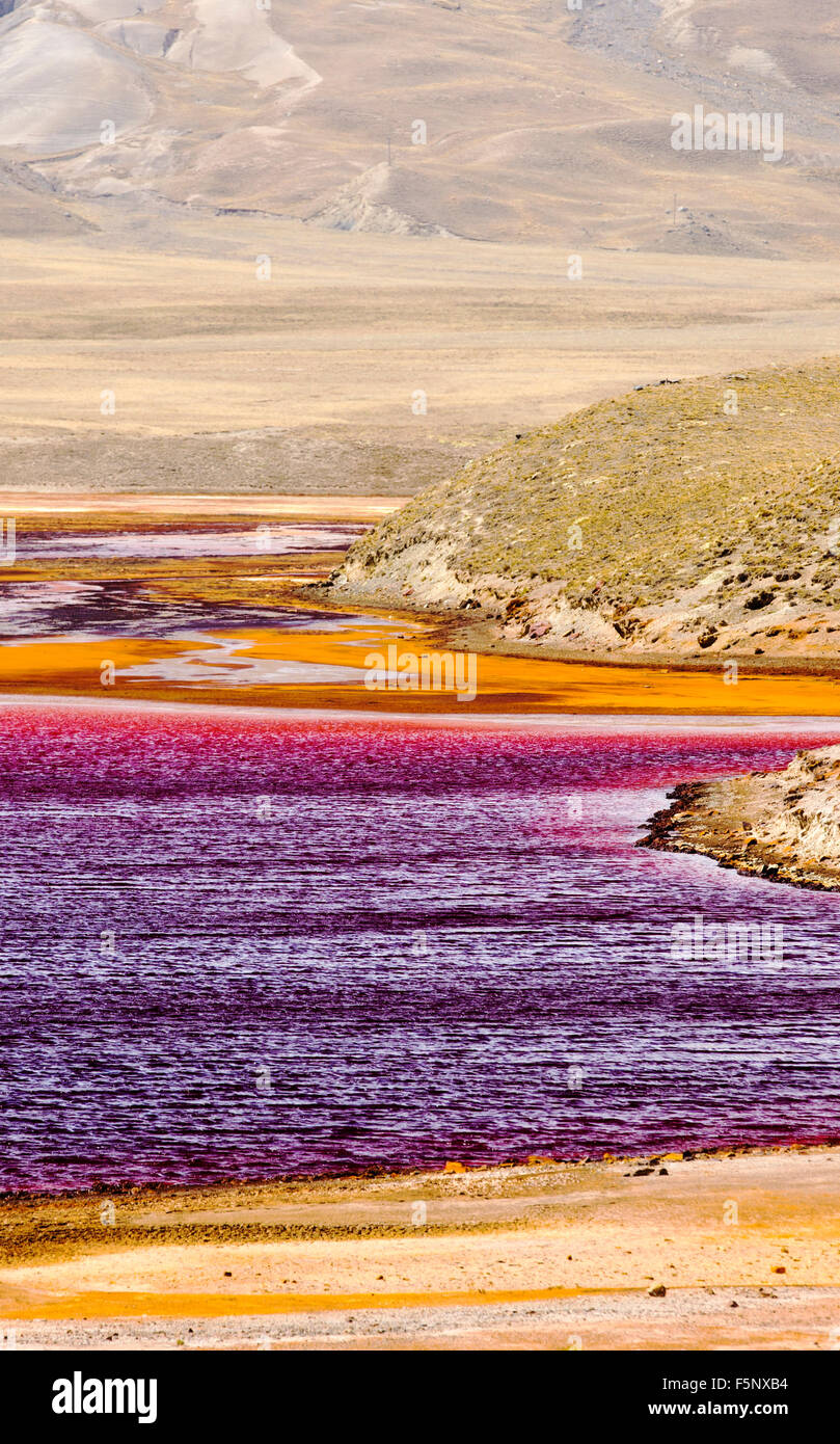 Laguna Miluni è un serbatoio alimentato da acqua di disgelo glaciale dal picco andino di Huayna Potosi sulle Ande boliviane. Come il cambiamento climatico casuses ghiacciai al fuso, la fornitura di acqua per La Paz in Bolivia il capitale viene rapidamente il funzionamento a secco. Il serbatoio è inoltre contaminato da effluente di miniera nonché ad un livello basso a causa della siccità. Foto Stock
