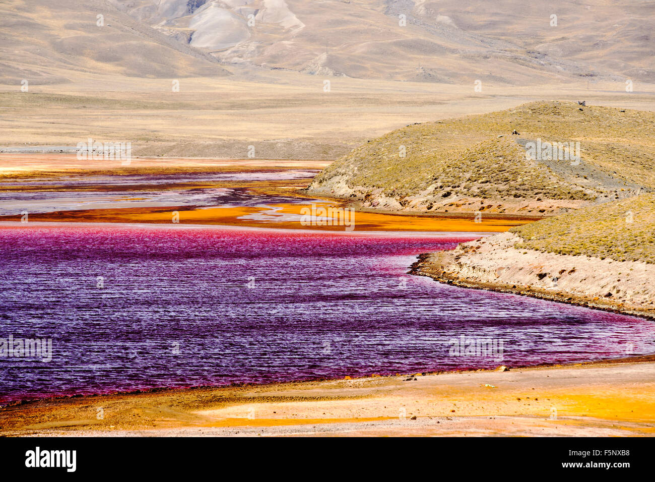 Laguna Miluni è un serbatoio alimentato da acqua di disgelo glaciale dal picco andino di Huayna Potosi sulle Ande boliviane. Come il cambiamento climatico casuses ghiacciai al fuso, la fornitura di acqua per La Paz in Bolivia il capitale viene rapidamente il funzionamento a secco. Il serbatoio è inoltre contaminato da effluente di miniera nonché ad un livello basso a causa della siccità. Foto Stock