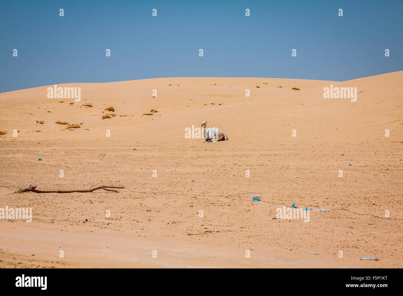 Le dune di sabbia del deserto del Sahara vicino a Ong Jemel in Tozeur,Tunisia. Foto Stock