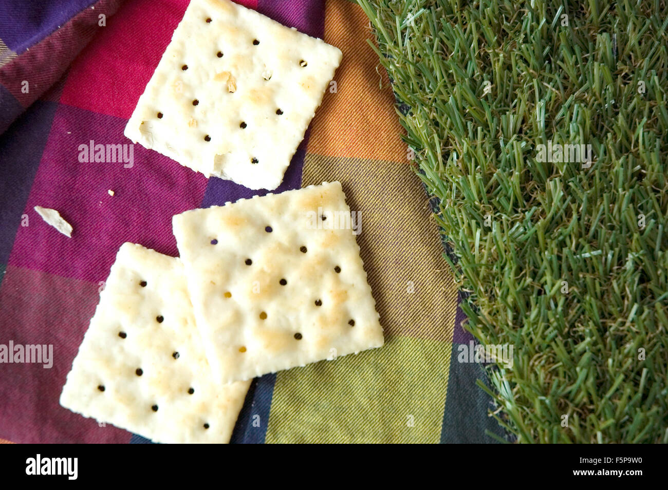 Plain cracker su sfondo colorato con erba verde Foto Stock