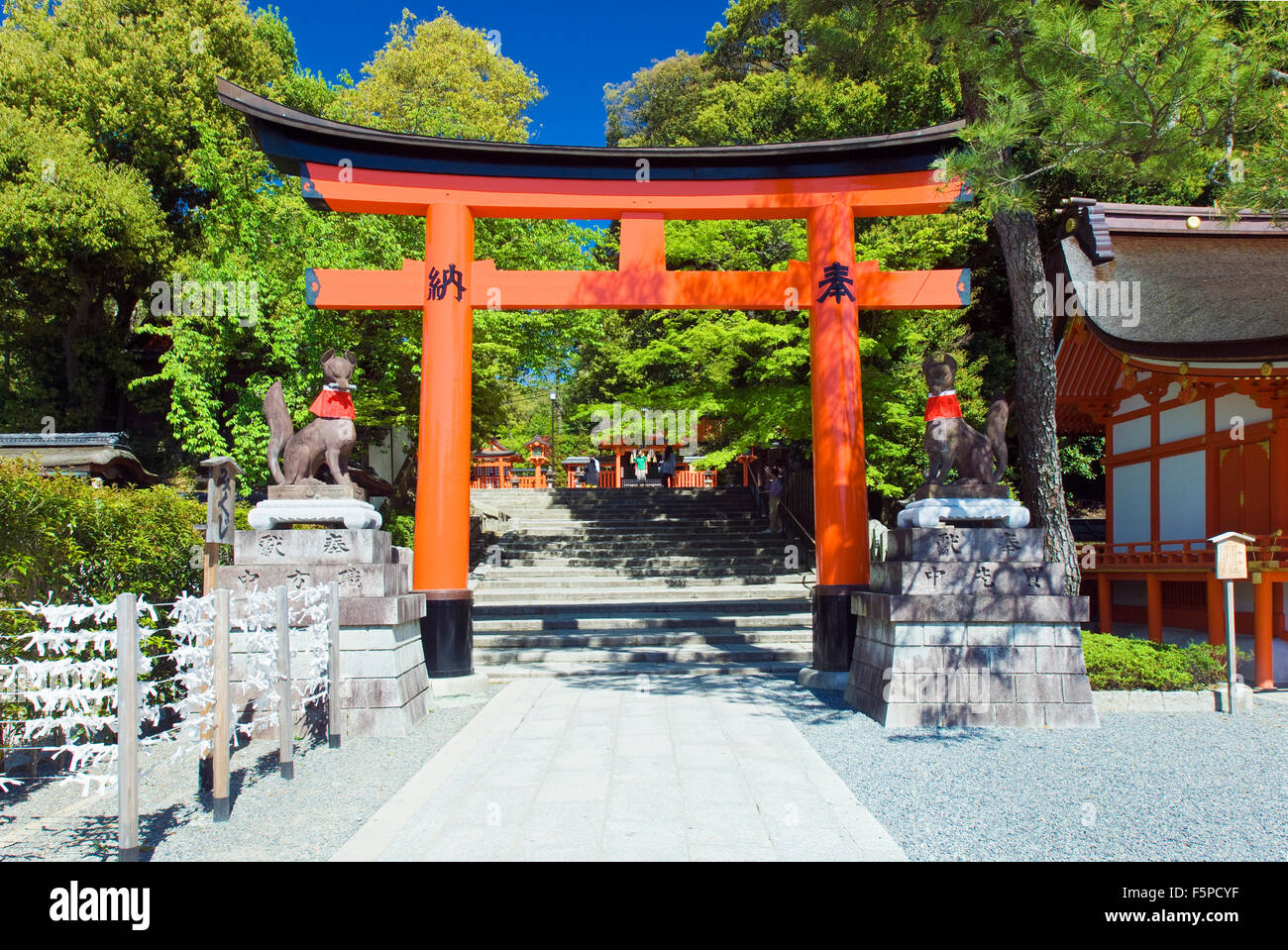 Orange tori in Fushimi Inari Taisha a Kyoto in Giappone in una limpida giornata di sole Foto Stock