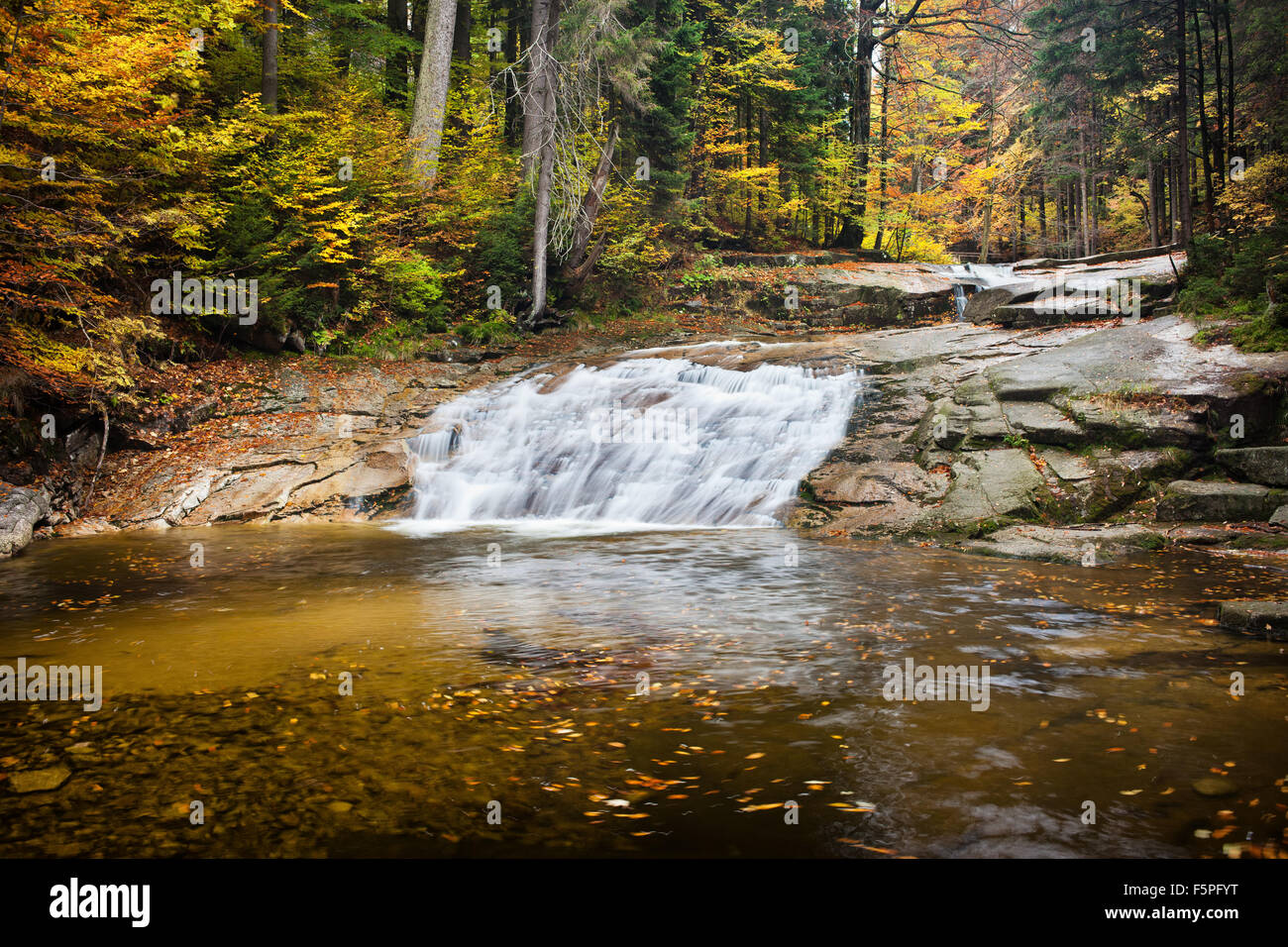 Cascata di acqua su Mumlava stream in autunno foresta dei Monti dei Giganti, Repubblica Ceca. Foto Stock