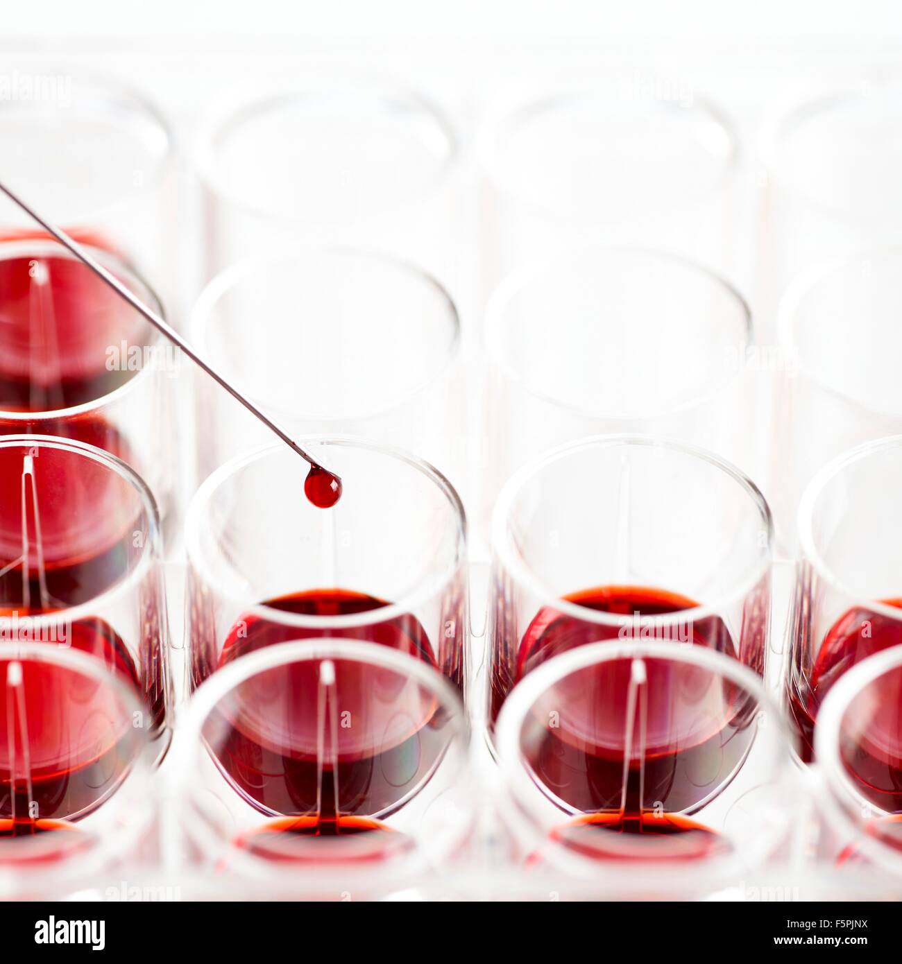 Siringa di gocciolamento del campione di sangue in un vassoio multipozzetto Foto Stock