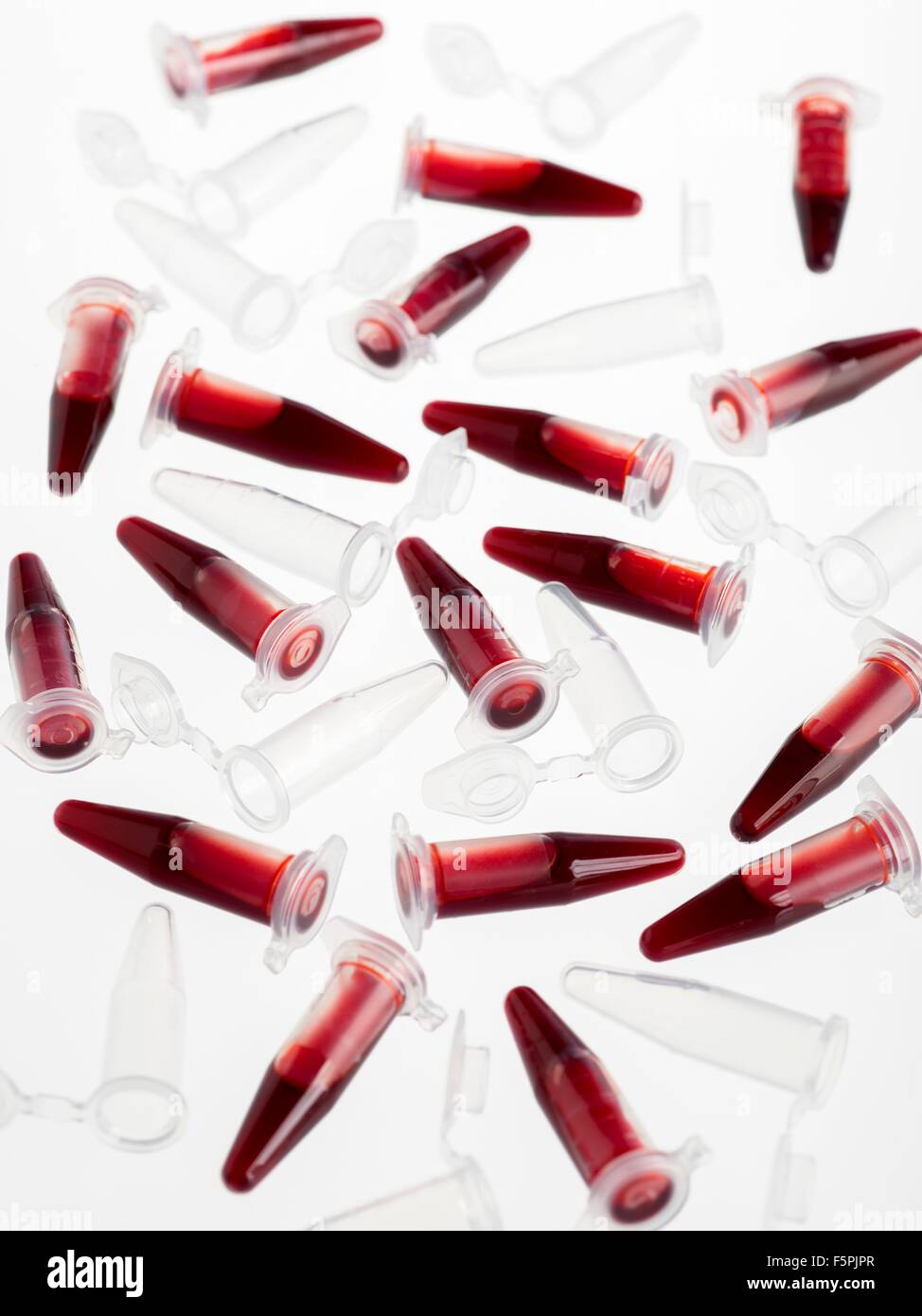 I campioni di sangue in provette per centrifuga contro uno sfondo bianco. Foto Stock