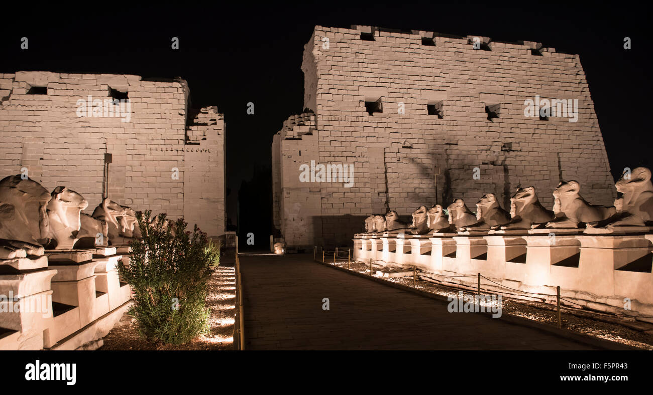 Antico tempio egiziano di Karnak Luxor illuminata di notte durante lo spettacolo di suoni e luci Foto Stock