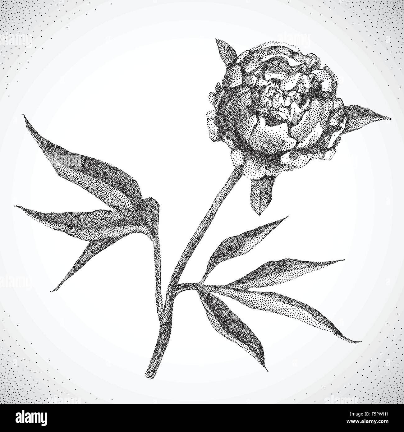 Fiore. Bianco e nero Dotwork Illustrazione Vettoriale