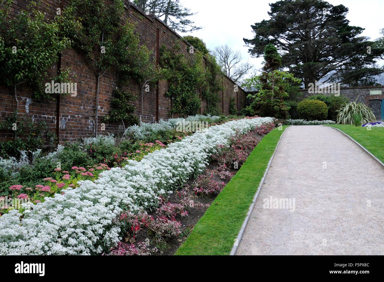 Letti di fiori a Kylemore Abbey Victorian Walled Garden Connemara Sud Irlanda Foto Stock