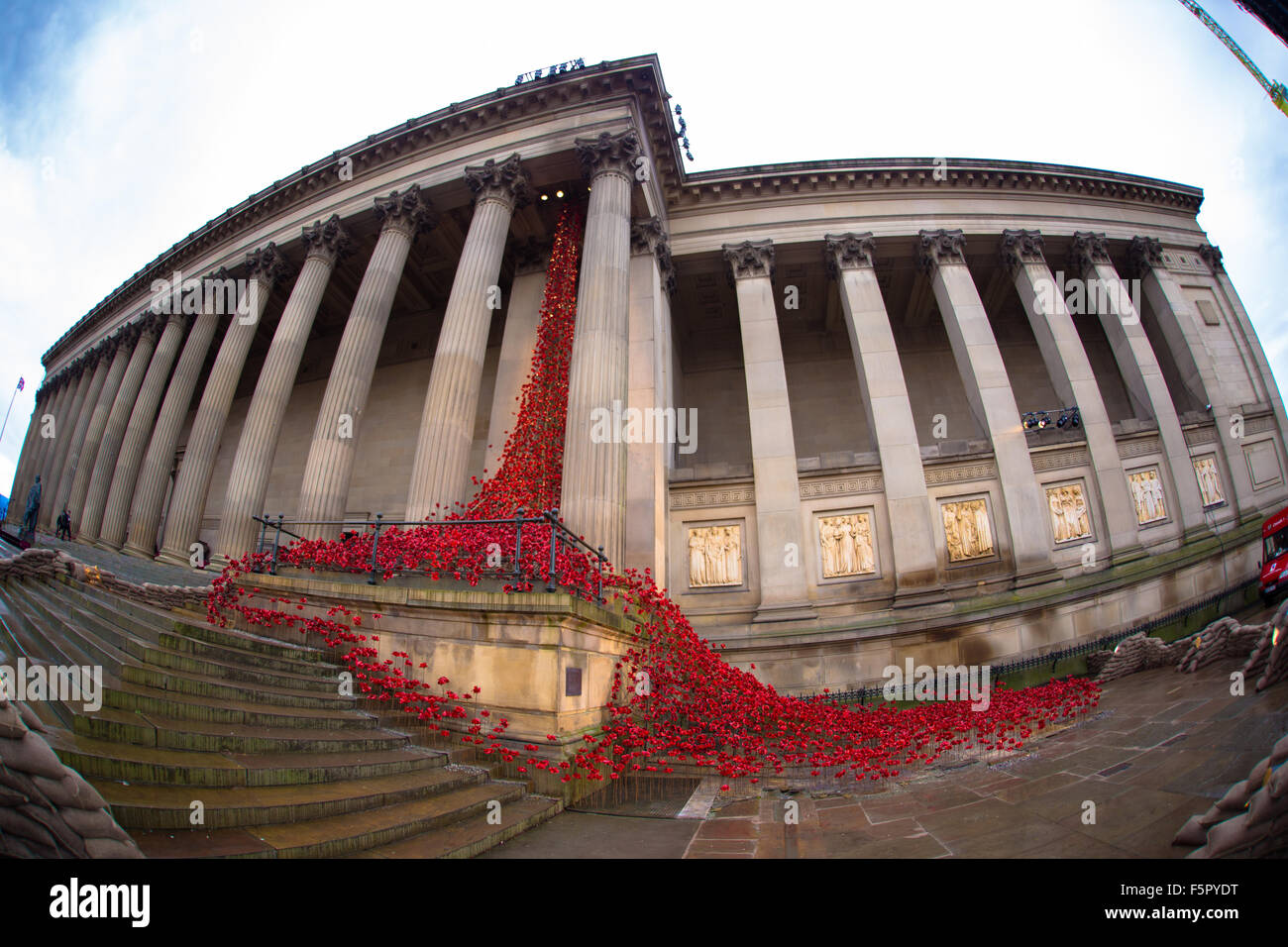 Liverpool, Regno Unito. 08 Nov, 2014. La finestra di pianto a Liverpool St George's Hall. Creati da artisti Paolo Cummins e Tom Piper, è una piccola parte della Torre di Londra di opere d'arte che contrassegnato 100 anni dall'inizio della prima guerra mondiale e ha attirato più di cinque milioni di visitatori durante lo scorso anno. Credito: Martin acque/Alamy Live News Foto Stock