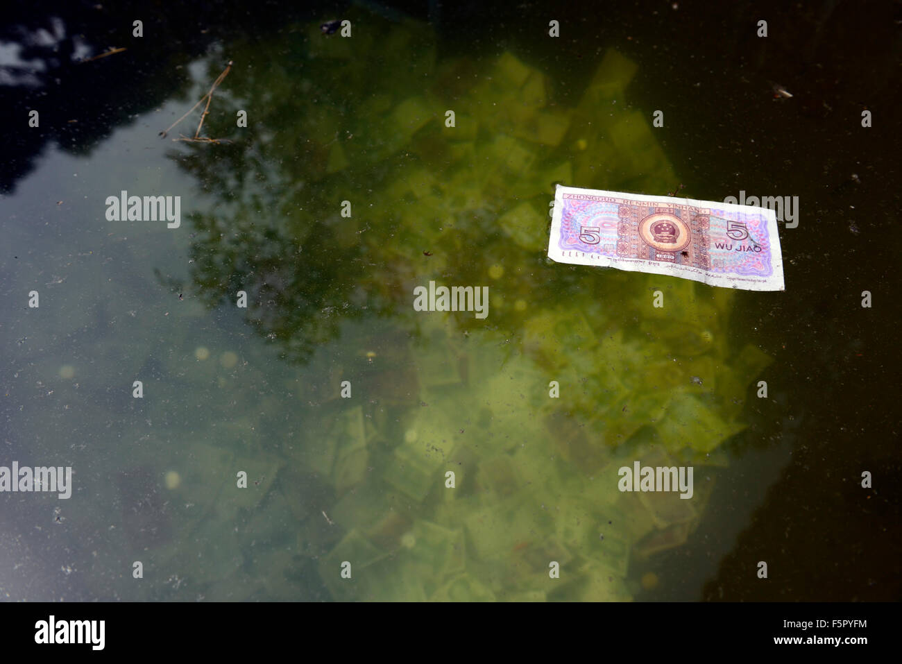 Renminbi Yuan moneta cinese nota galleggianti stagno di acqua di mare buona fortuna messe da parte omen superstizione svalutare svalutato Foto Stock