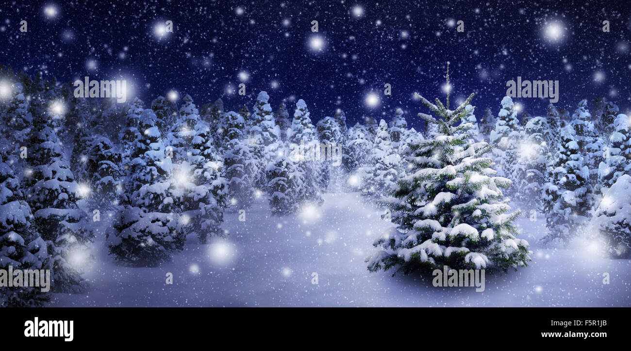 Esterno notte colpo di un bel abete nella neve spessa, per la perfetta atmosfera natalizia Foto Stock