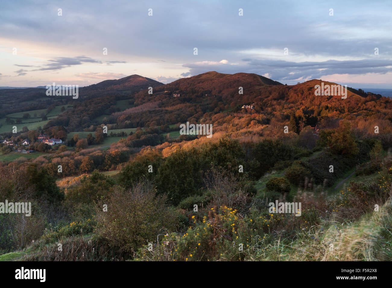 Un piccolo albero di luce splende su Malvern Hills in inverno dal British Camp, Herefordshire. Foto Stock