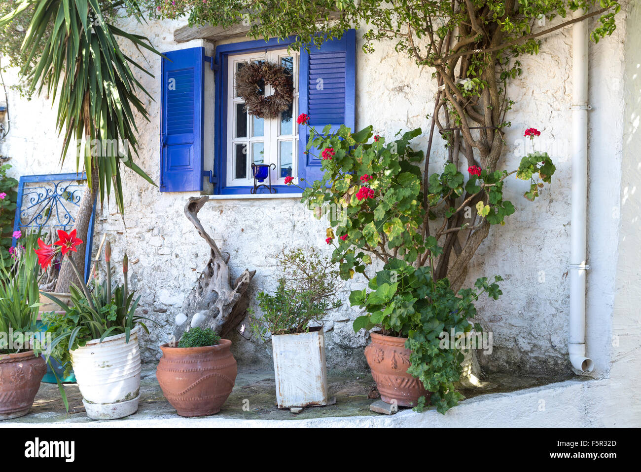 Una bellissima casa greca con persiane blu fronteggiata da graziosi fiori in Afionas, Corfù, Grecia. Foto Stock